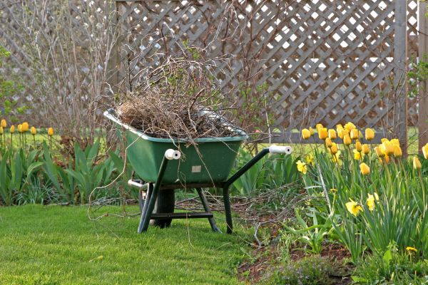 Flower Bed Cleanup Service in Wilmington