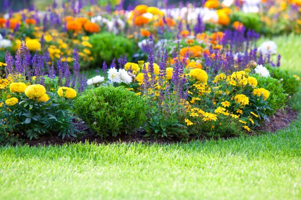 Flower Bed Maintenance in Wilmington