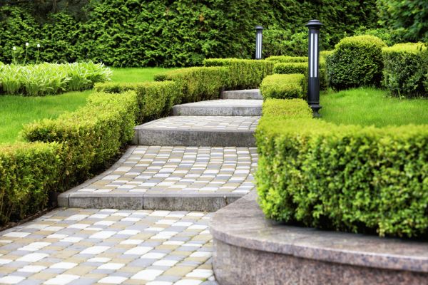 Backyard Remodeling in Wilmington
