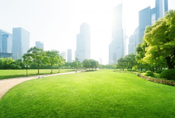 Commercial Landscape Maintenance in Wilmington