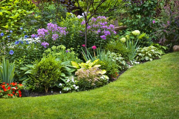 Flower Bed Service in Wilmington