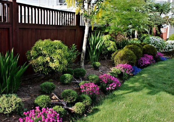 Garden Care Service in Wilmington