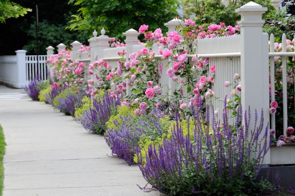 Garden Handyman Service in Wilmington