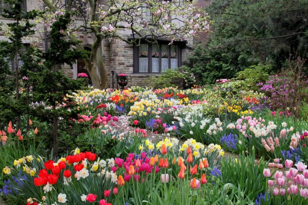 Garden Maintenance Service in Wilmington
