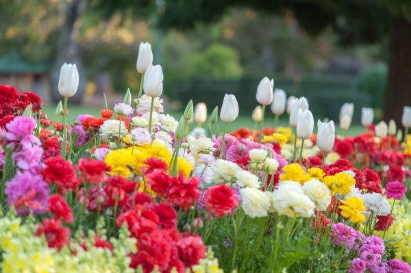 Gardening Service in Wilmington