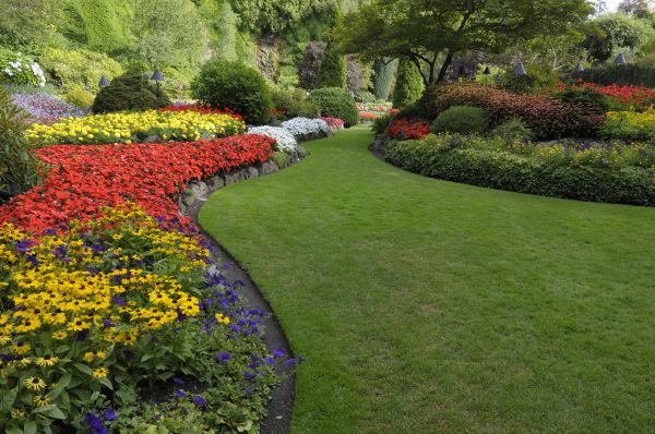 Landscaping Maintenance in Wilmington