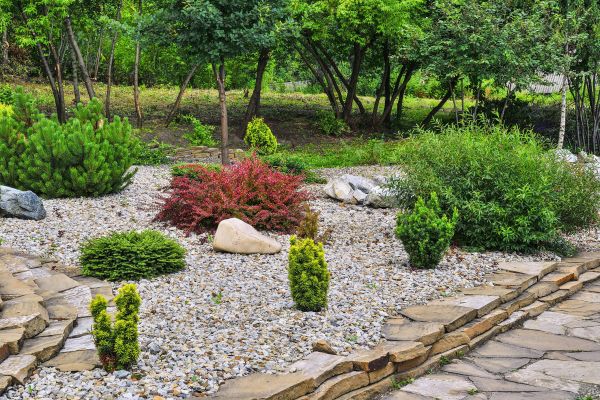 Rock Landscaping in Wilmington