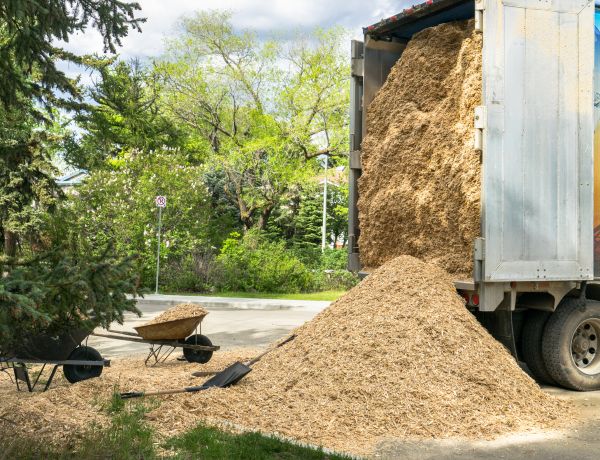Wood Chips Delivery in Wilmington