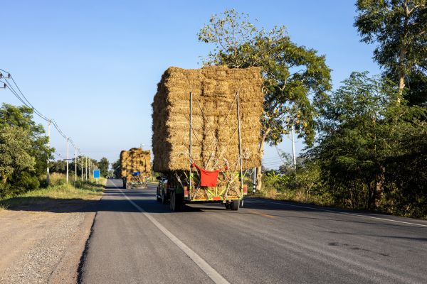 Pine Straw Delivery in Wilmington