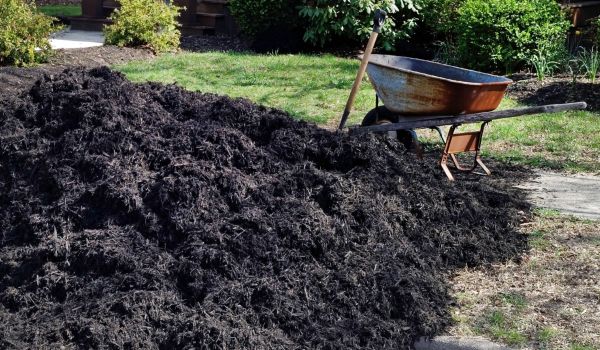 Black Mulch Delivery in Wilmington