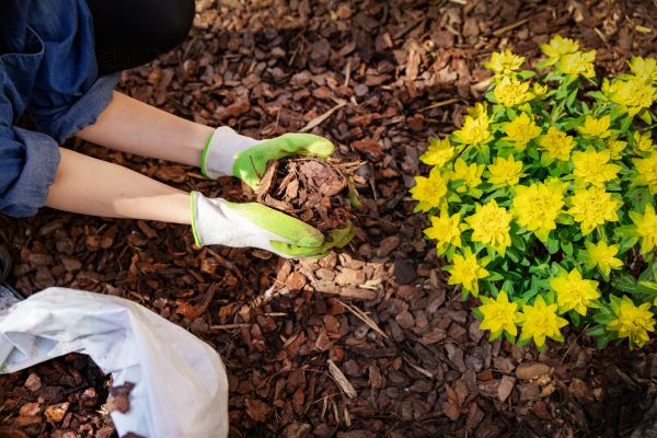 Garden Mulching in Wilmington