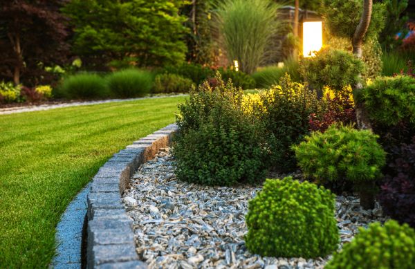 Home Landscaping in Wilmington