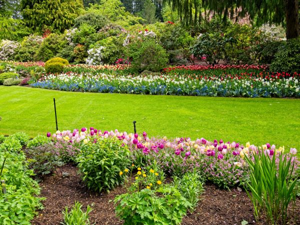 Residential Landscape Design in Wilmington