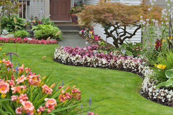 Perennial Landscaping in Wilmington