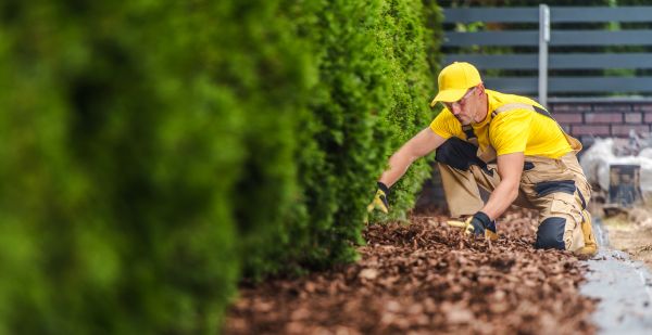 Cypress Mulch Installation in Wilmington