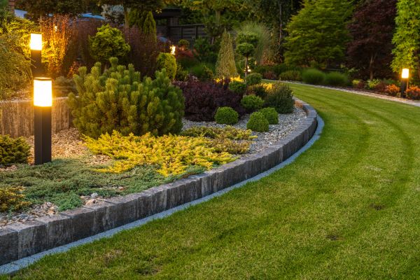 Garden Repair Service in Wilmington