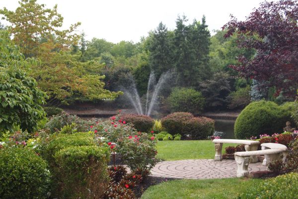 Courtyard Design Service in Wilmington