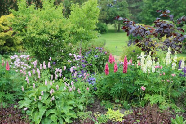 Flower Bed Planting in Wilmington