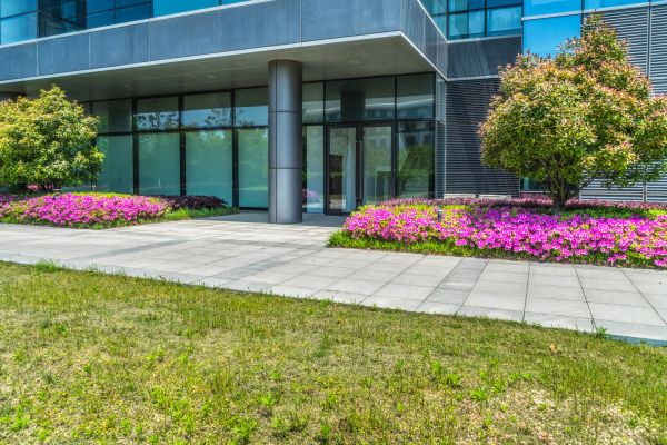 Commercial Gardening in Wilmington