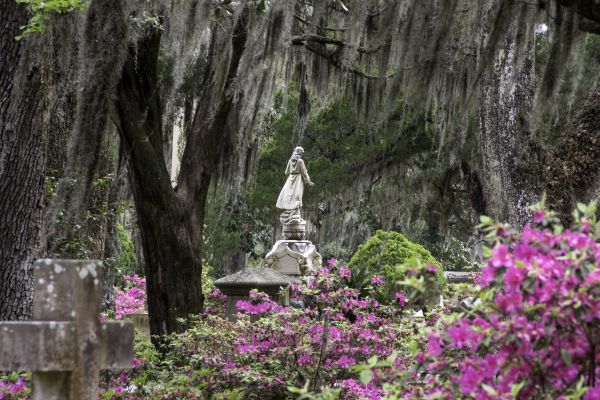 Cemetery Landscaping in Wilmington