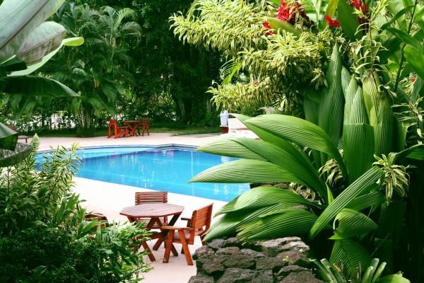 Tropical Garden Landscaping in Wilmington