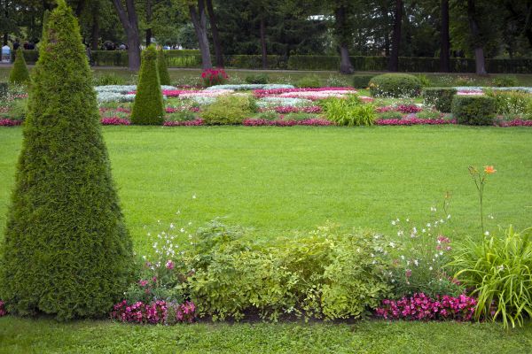 Lawn And Garden Design