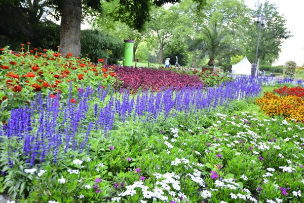 Perennials Planting in Wilmington