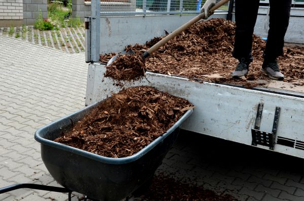 Cypress Mulch Delivery in Wilmington