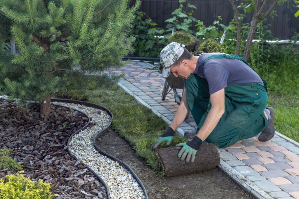Landscaping Modification in Wilmington