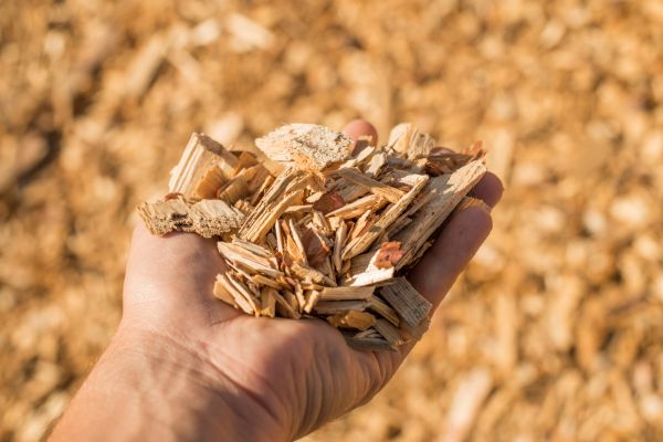 Wood Chips Spreading in Wilmington