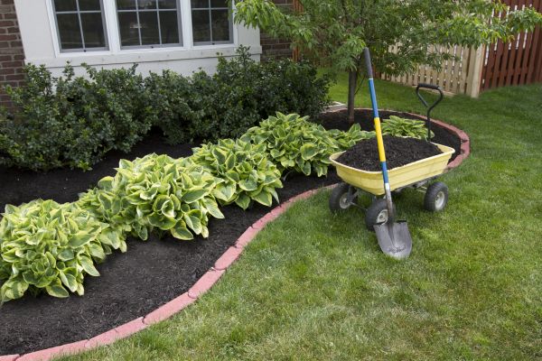 Landscape Mulching in Wilmington