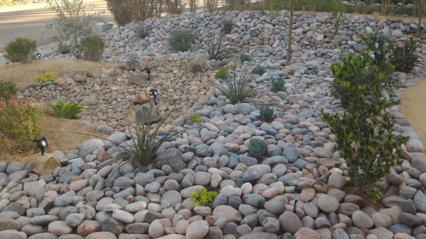 Yard Xeriscaping in Wilmington