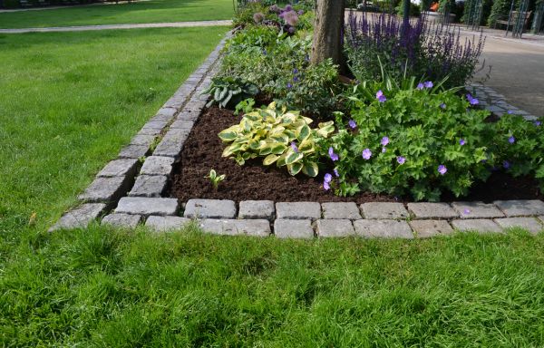 Flower Bed Mulching in Wilmington