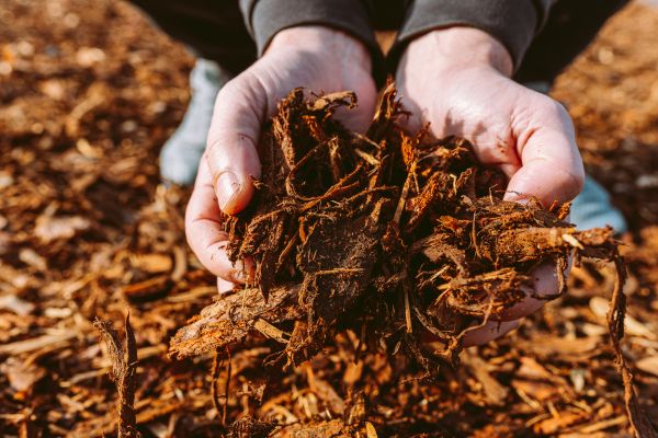 Bark Chips Delivery in Wilmington