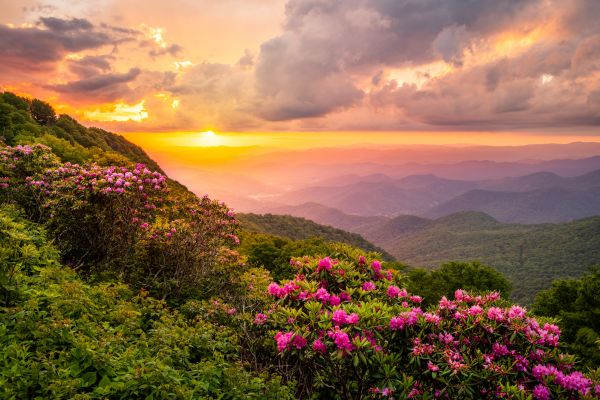 Hill Landscaping in Wilmington
