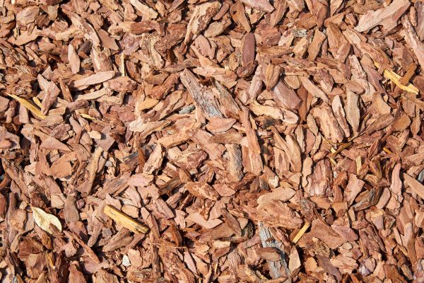 Pine Mulch Delivery in Wilmington
