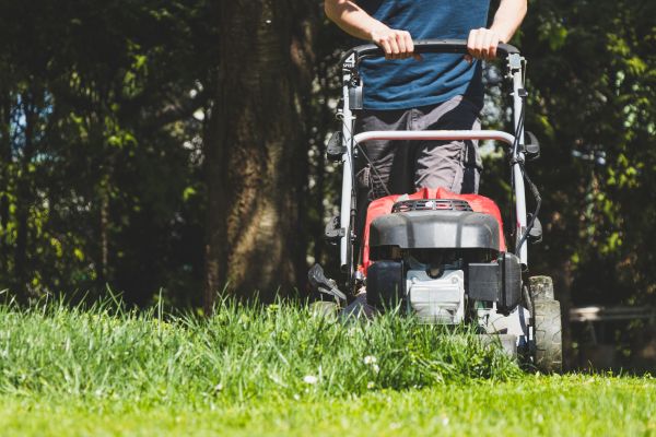 Garden Trimming Service in Wilmington