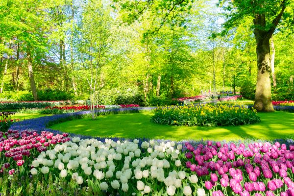 Flower Landscaping in Wilmington