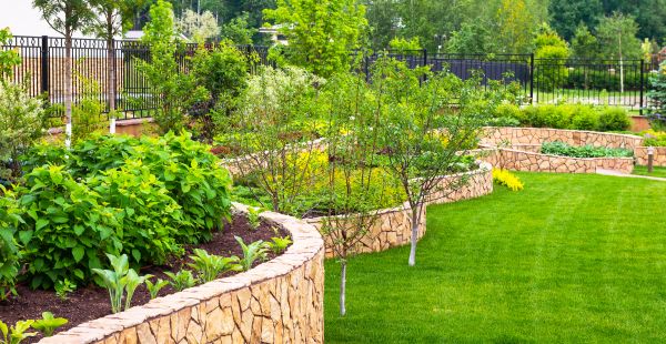 Yard Makeover Service in Wilmington