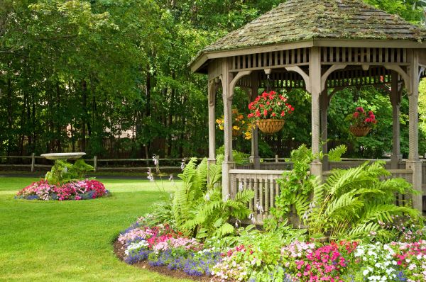 Backyard Landscaping Service in Wilmington