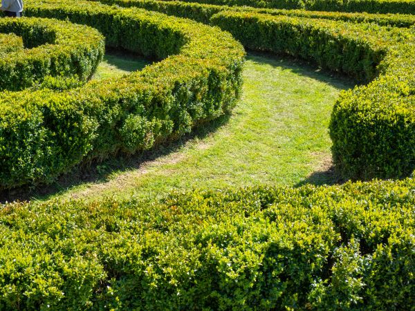 Bush Landscaping in Wilmington