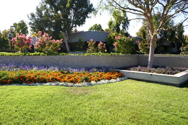 Commercial Landscape Service in Wilmington
