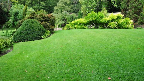 Commercial Landscape Design in Wilmington