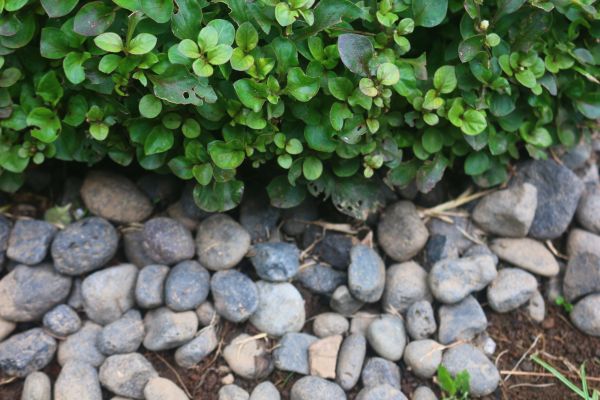 River Stone Installation in Wilmington
