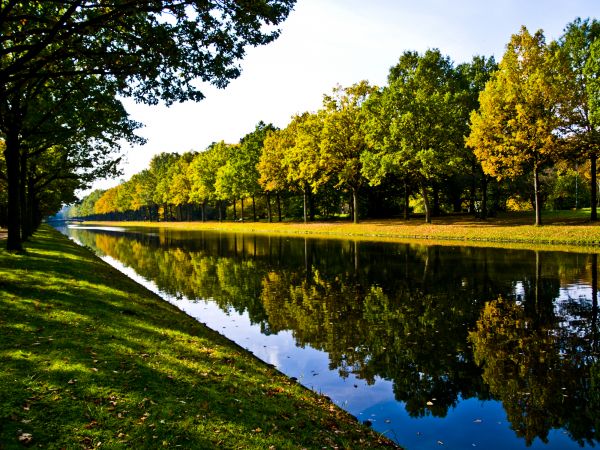 Bank Landscaping in Wilmington