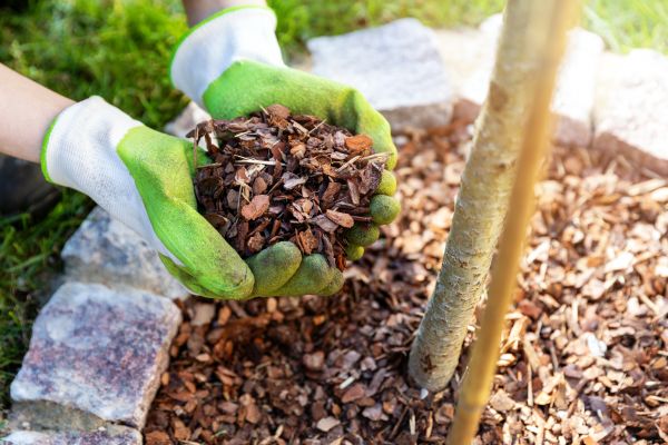 Tree Bark Delivery in Wilmington