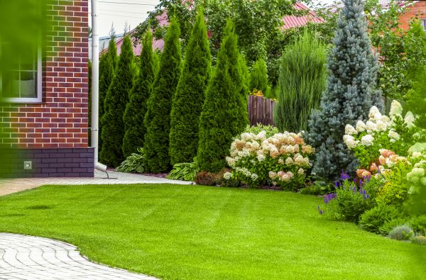 Spring Landscaping in Wilmington