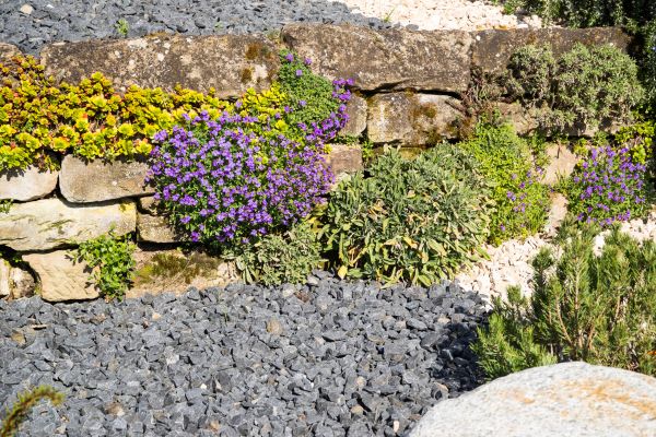 Landscaping Rocks Installation in Wilmington