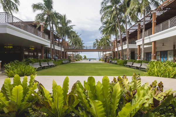 Commercial Lawn Renovation in Wilmington