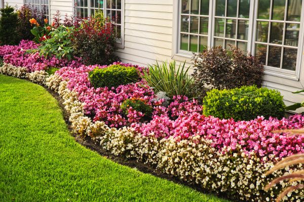Garden Landscape Design in Wilmington